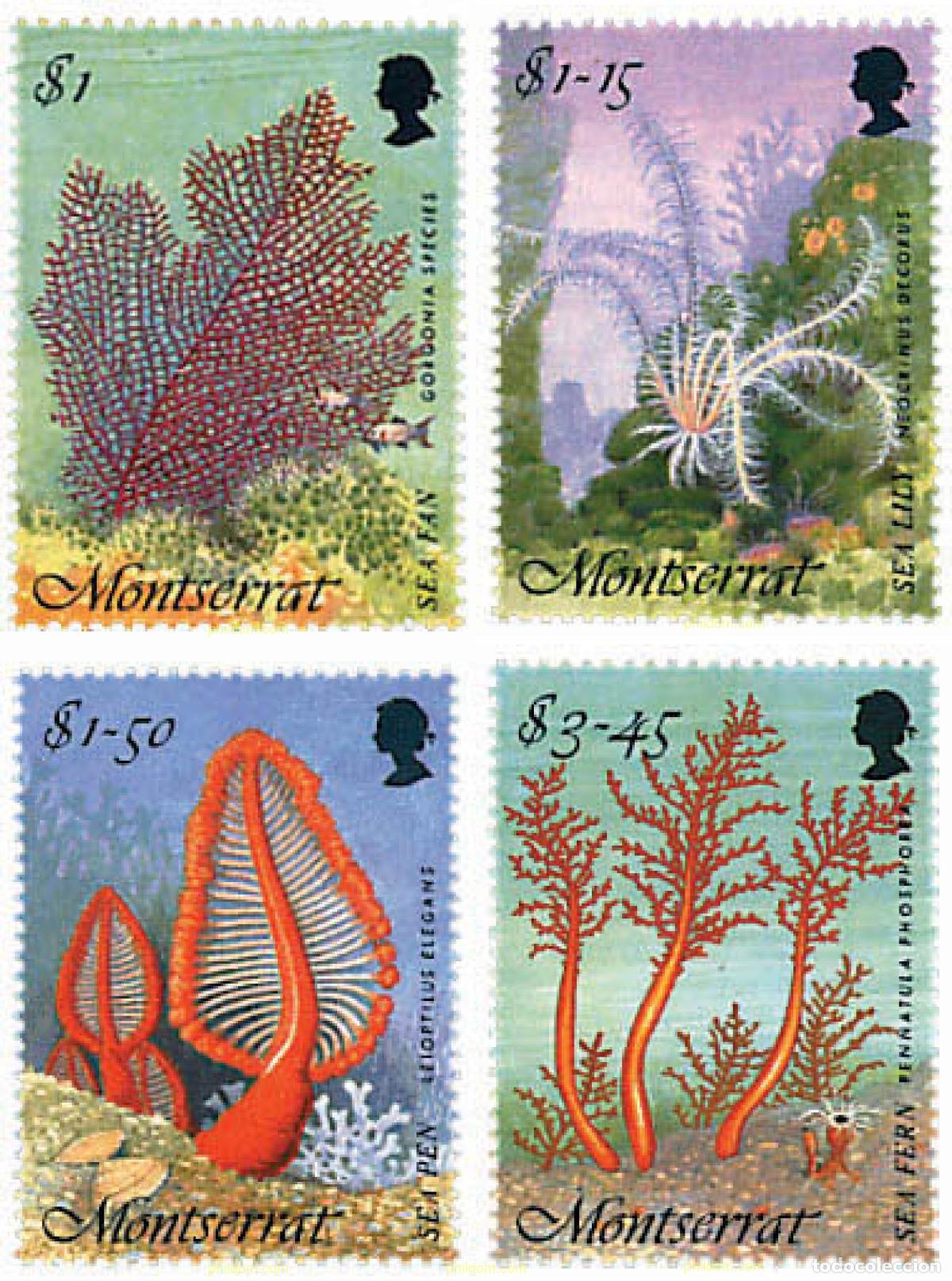 Sellos: 56199 MNH MONTSERRAT 1995 FLORA MARINA