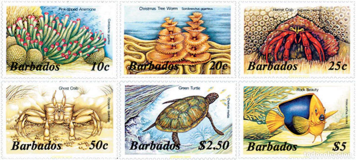 Sellos: 290210 MNH BARBADOS 1985 FAUNA MARINA