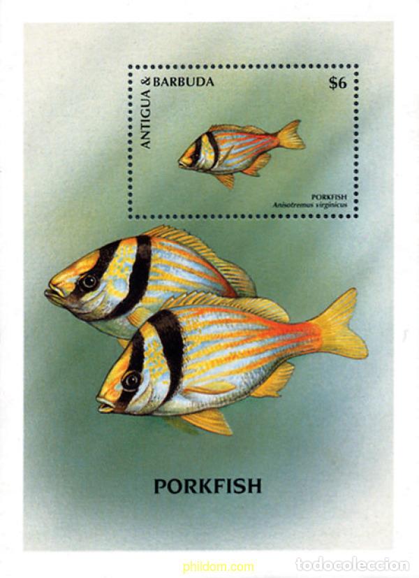 Sellos: 286619 MNH ANTIGUA Y BARBUDA 1998 PECES