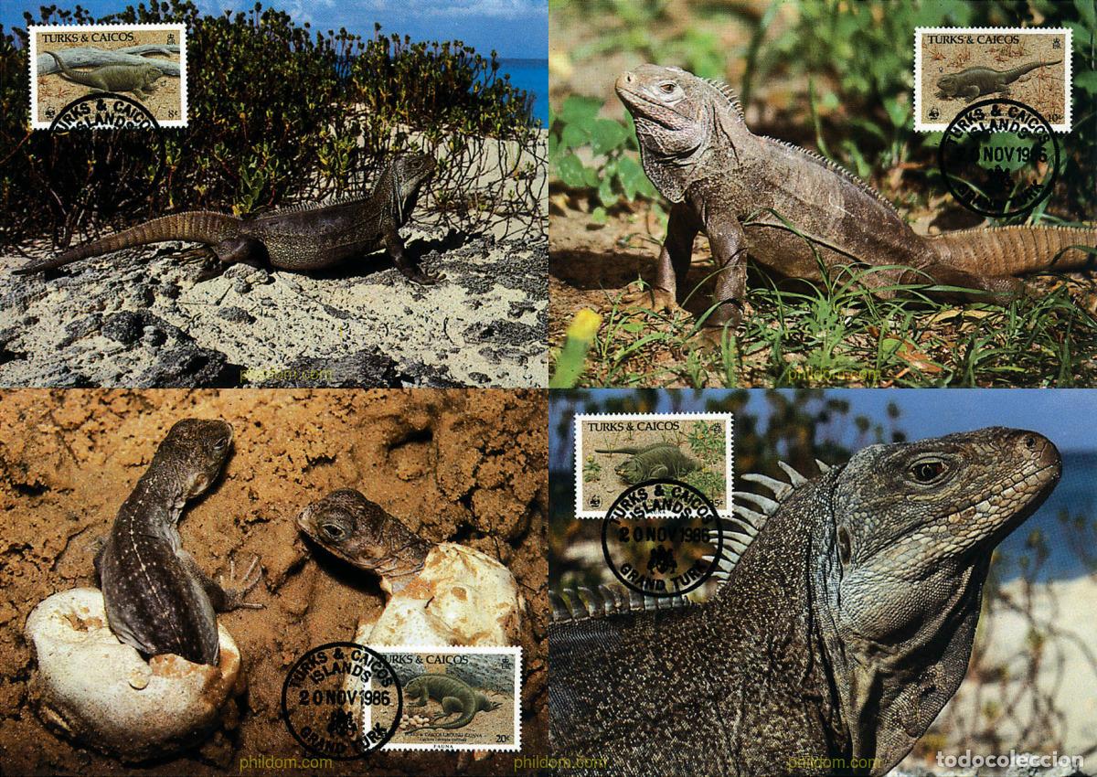 Sellos: 7322 MNH TURKS Y CAICOS 1986 IGUANA DE TURKS Y CAICOS