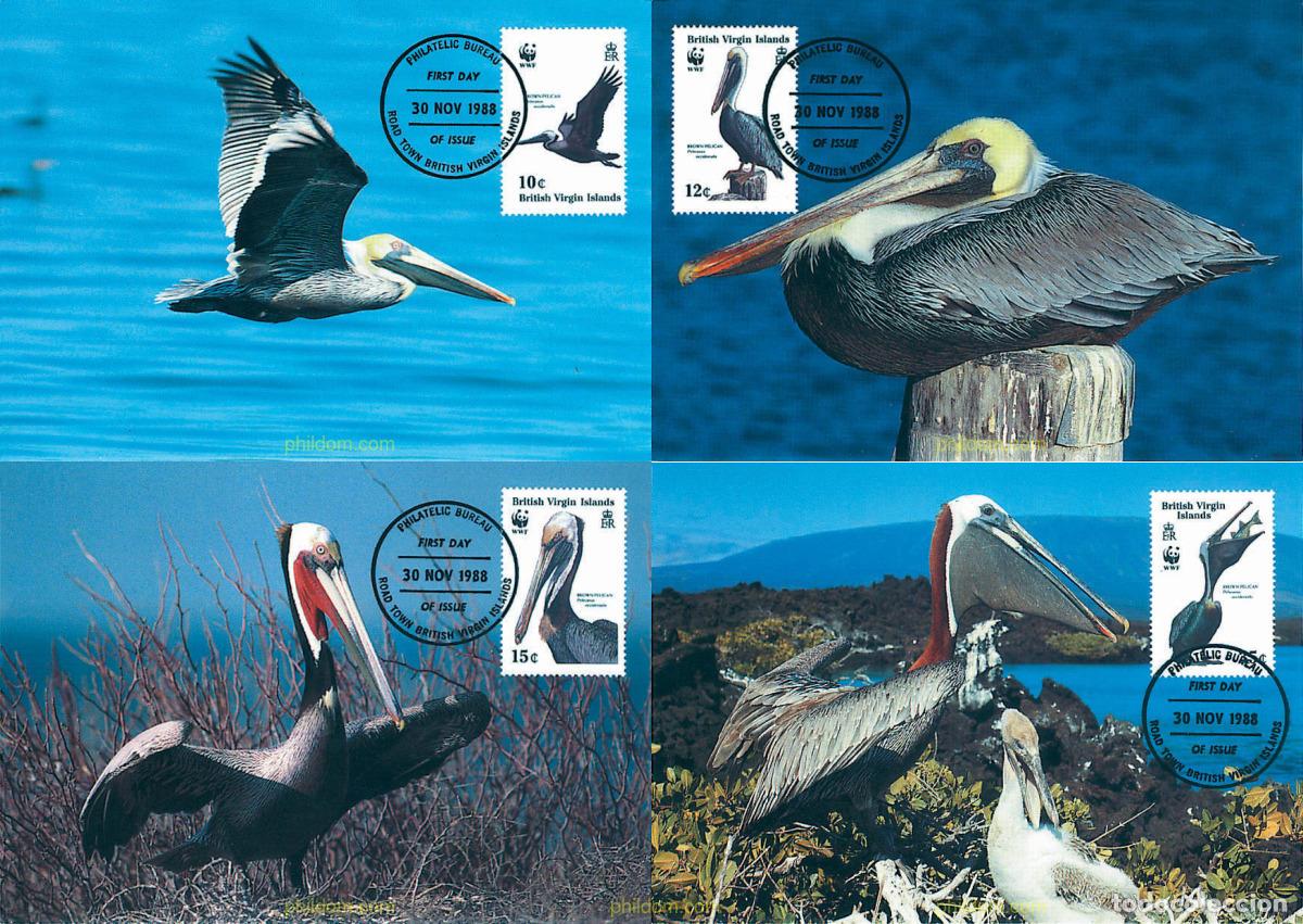 Sellos: 7343 MNH VIRGENES BRITANICAS Islas 1988 PELICANO PARDO