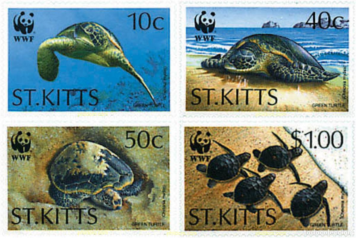 Sellos: 73933 MNH SAN KITTS 1995 TORTUGA VERDE