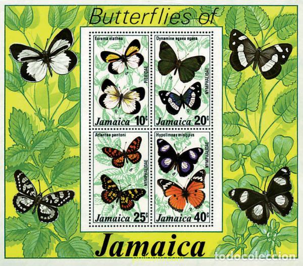 Sellos: 94880 MNH JAMAICA 1977 MARIPOSAS DE JAMAICA