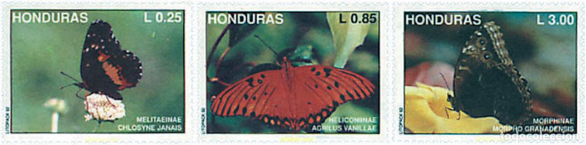 Sellos: 94817 MNH HONDURAS 1992 MARIPOSAS