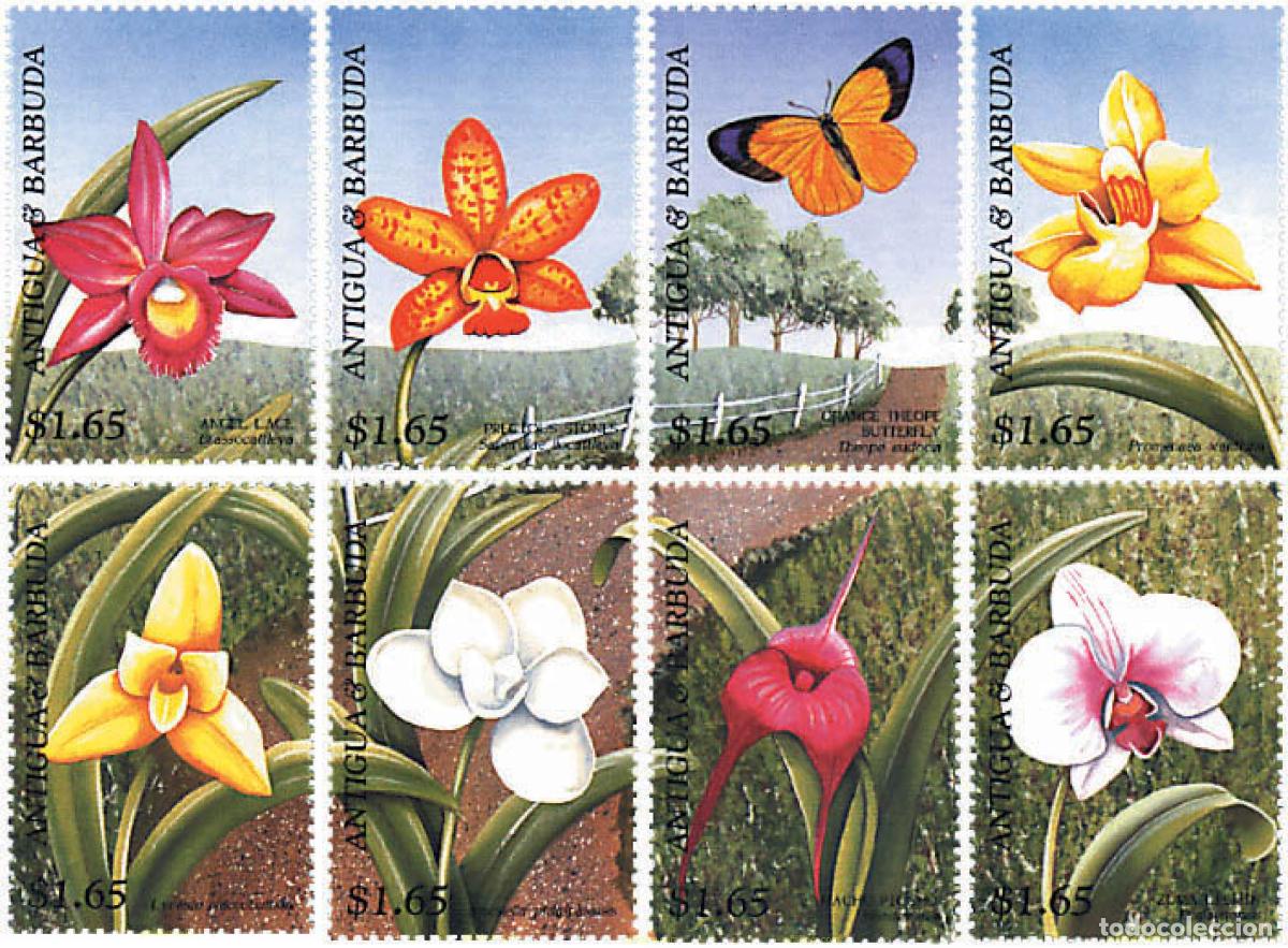 Sellos: 286616 MNH ANTIGUA Y BARBUDA 1997 ORQUIDEAS DEL MUNDO