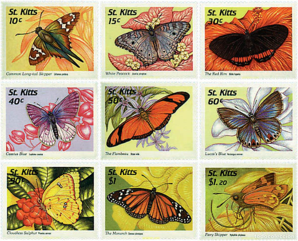 Sellos: 359903 MNH SAN KITTS 1997 MARIPOSAS