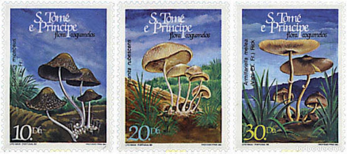 Sellos: 34516 MNH SANTO TOME Y PRINCIPE 1984 SETAS