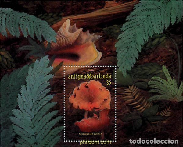Sellos: 46788 MNH ANTIGUA Y BARBUDA 1986 SETAS