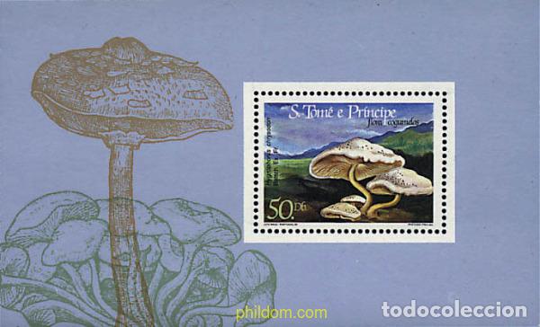 Sellos: 36188 MNH SANTO TOME Y PRINCIPE 1984 SETAS