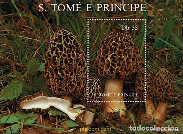 Sellos: 92559 MNH SANTO TOME Y PRINCIPE 1987 SETAS