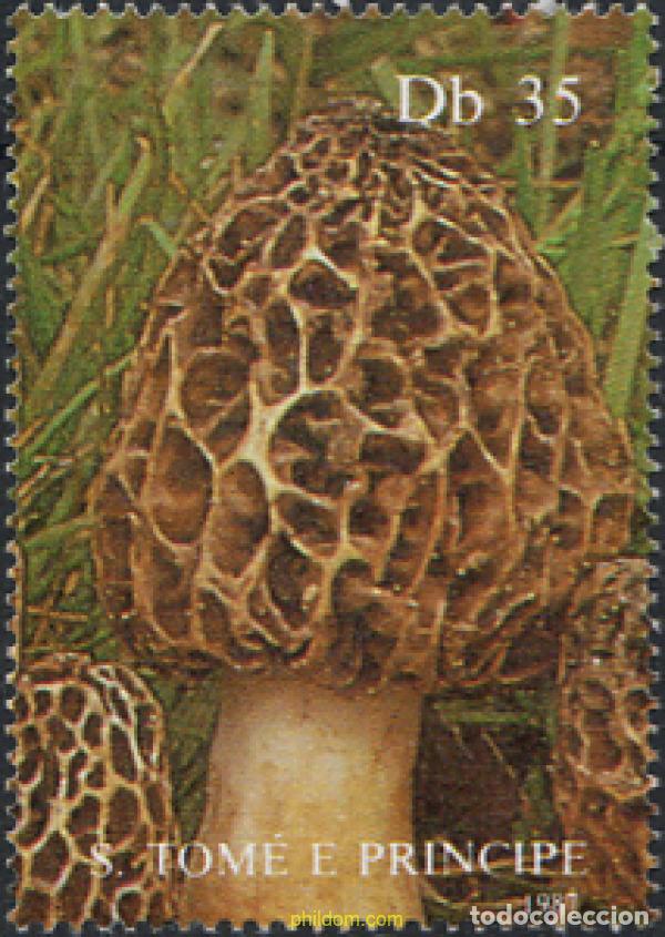 Sellos: 152029 MNH SANTO TOME Y PRINCIPE 1987 SETAS