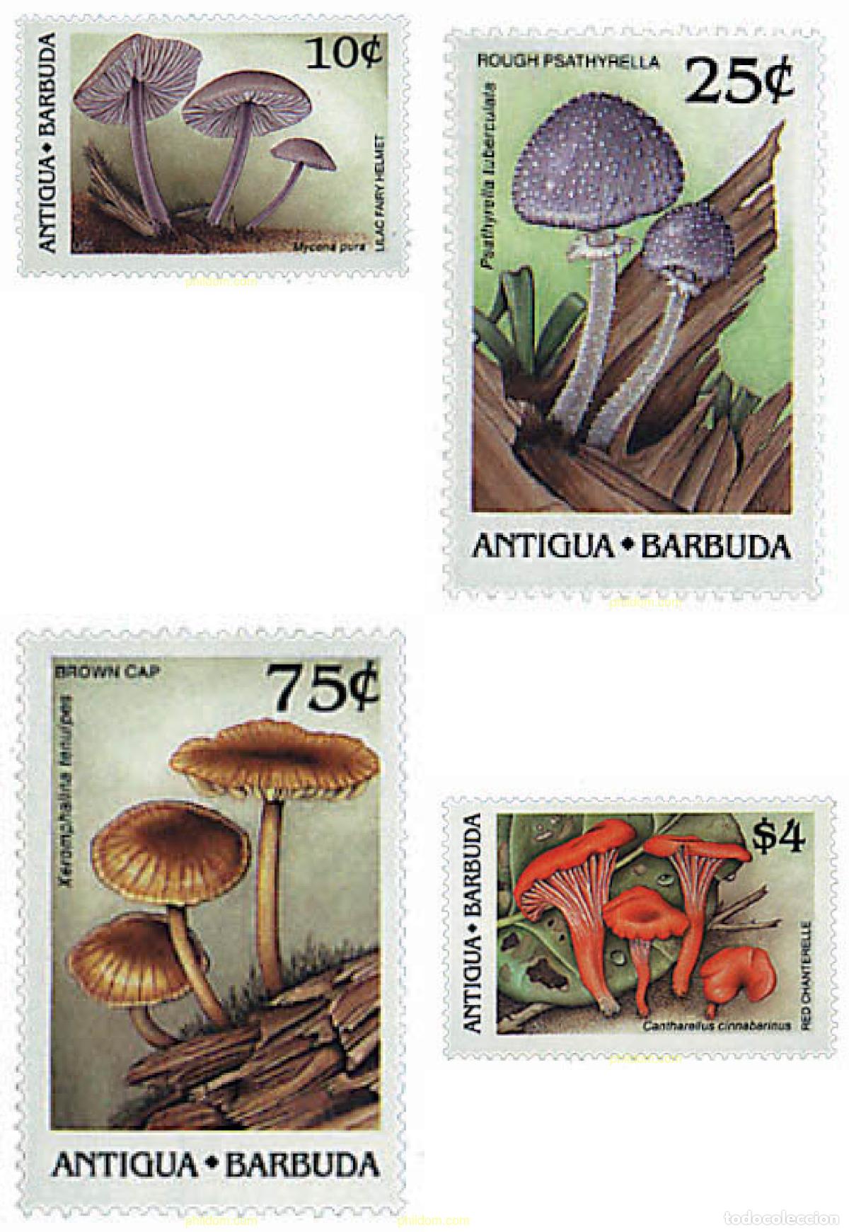 Francobolli: 286510 MNH ANTIGUA Y BARBUDA 1989 SETAS