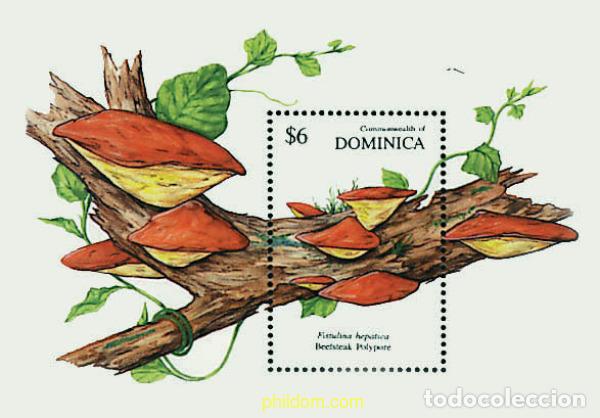 Francobolli: 306789 MNH DOMINICA 1991 SETAS