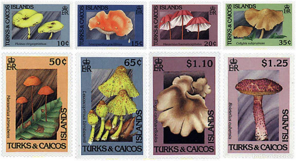 Briefmarken: 36225 MNH TURKS Y CAICOS 1991 SETAS