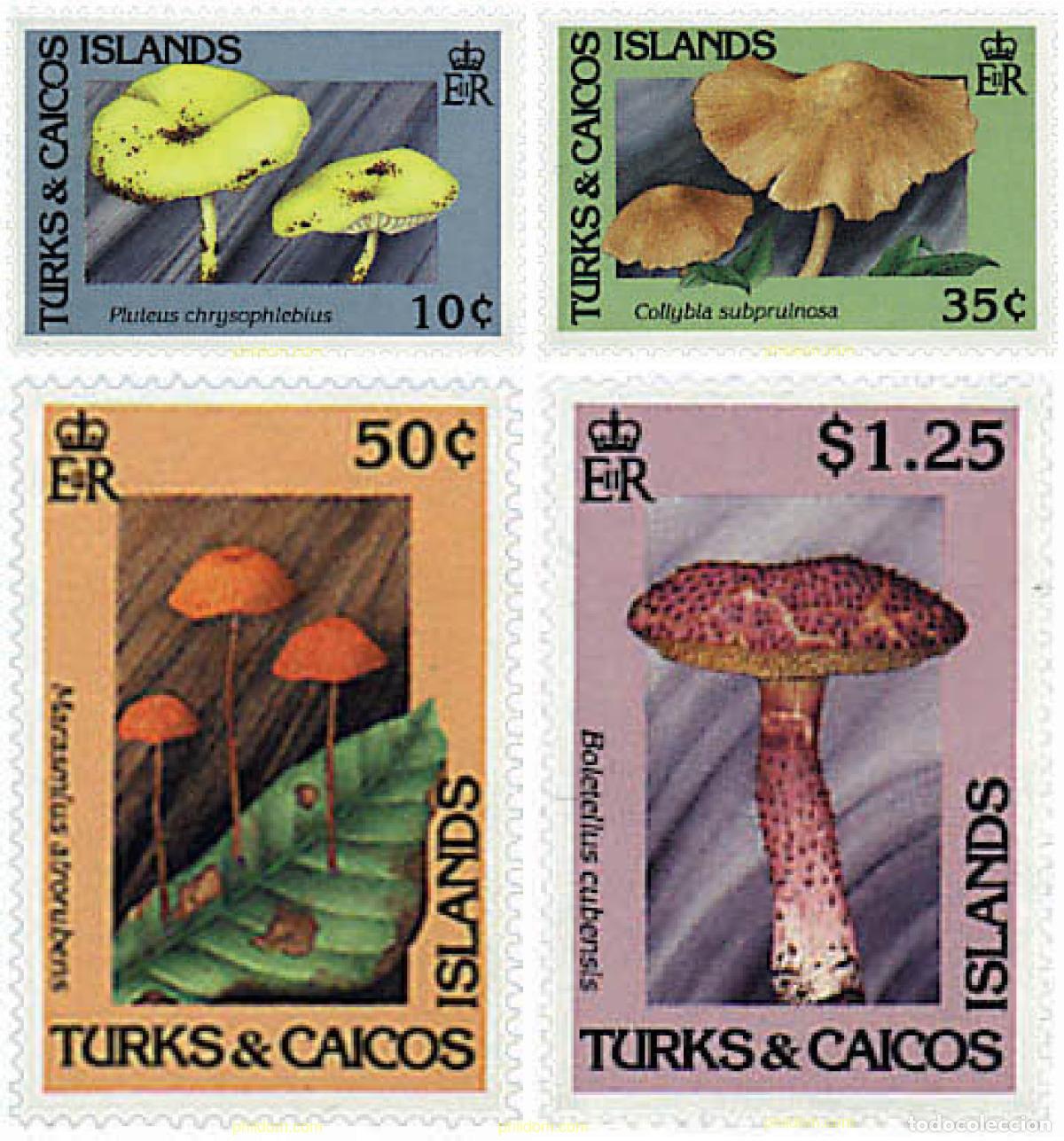 Briefmarken: 299311 MNH TURKS Y CAICOS 1991 SETAS