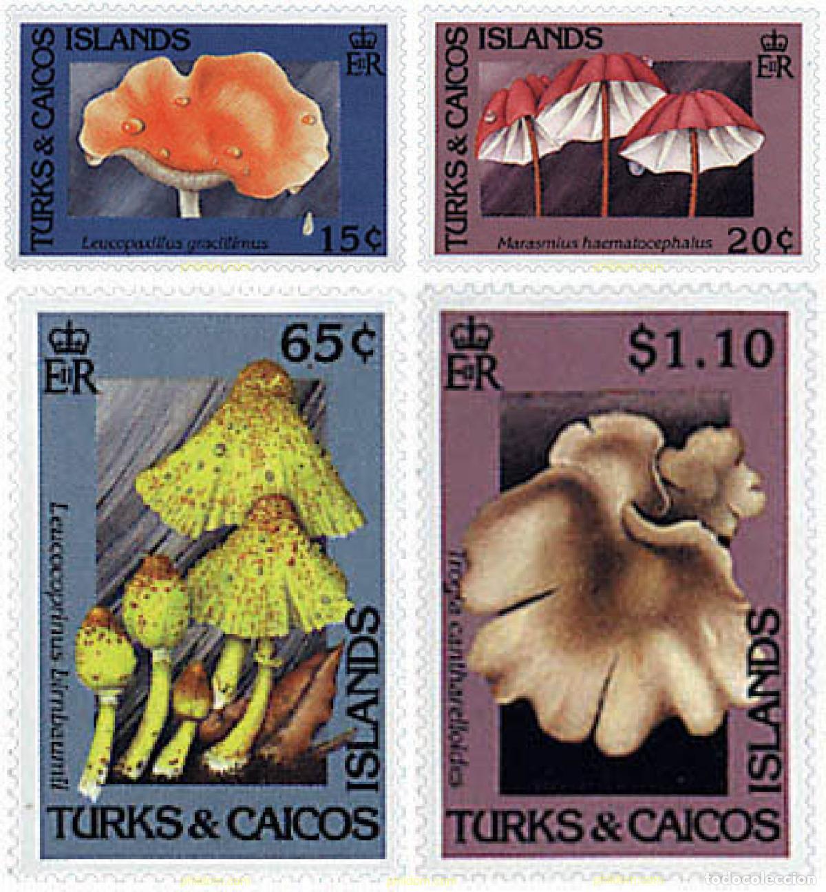Briefmarken: 299318 MNH TURKS Y CAICOS 1991 SETAS