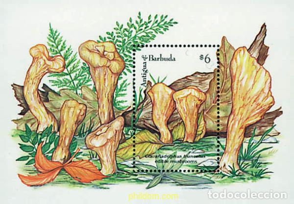 Sellos: 286561 MNH ANTIGUA Y BARBUDA 1992 SETAS COMESTIBLES