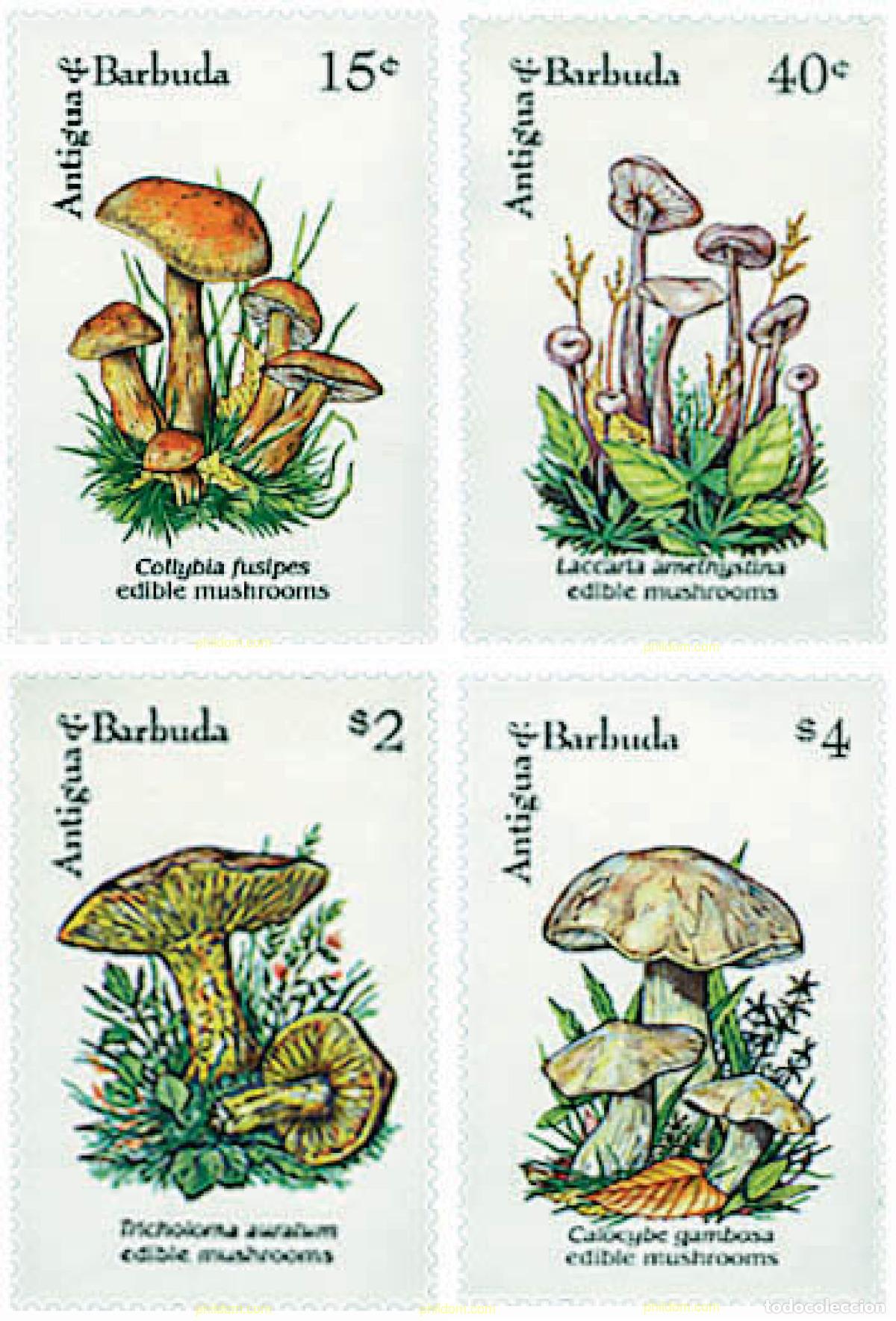 Sellos: 286556 MNH ANTIGUA Y BARBUDA 1992 SETAS COMESTIBLES