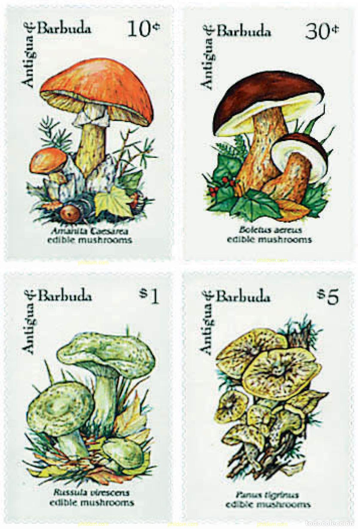Sellos: 286560 MNH ANTIGUA Y BARBUDA 1992 SETAS COMESTIBLES