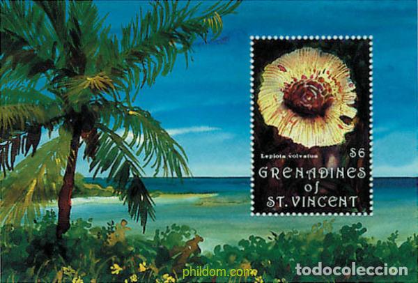Sellos: 320490 MNH SAN VICENTE GRANADINAS 1992 SETAS