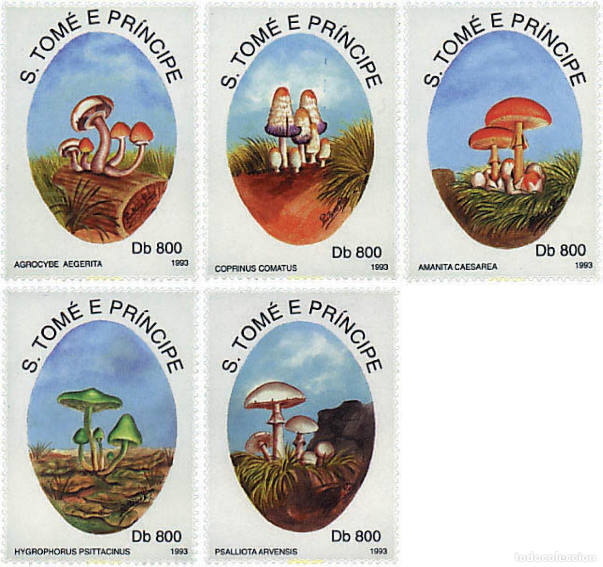 Sellos: 38218 MNH SANTO TOME Y PRINCIPE 1993 SETAS