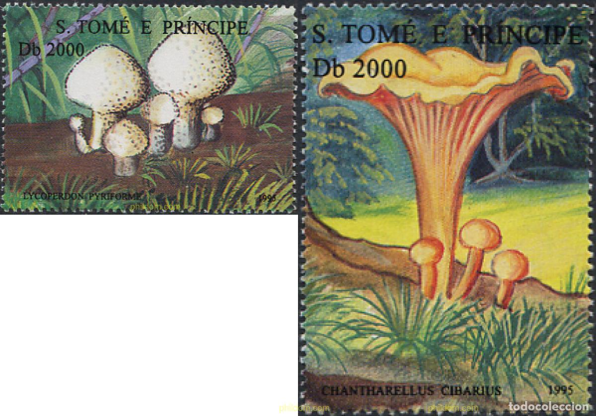 Sellos: 152262 MNH SANTO TOME Y PRINCIPE 1995 SETAS