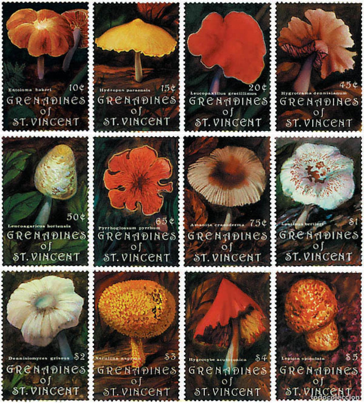 Sellos: 36169 MNH SAN VICENTE GRANADINAS 1992 SETAS