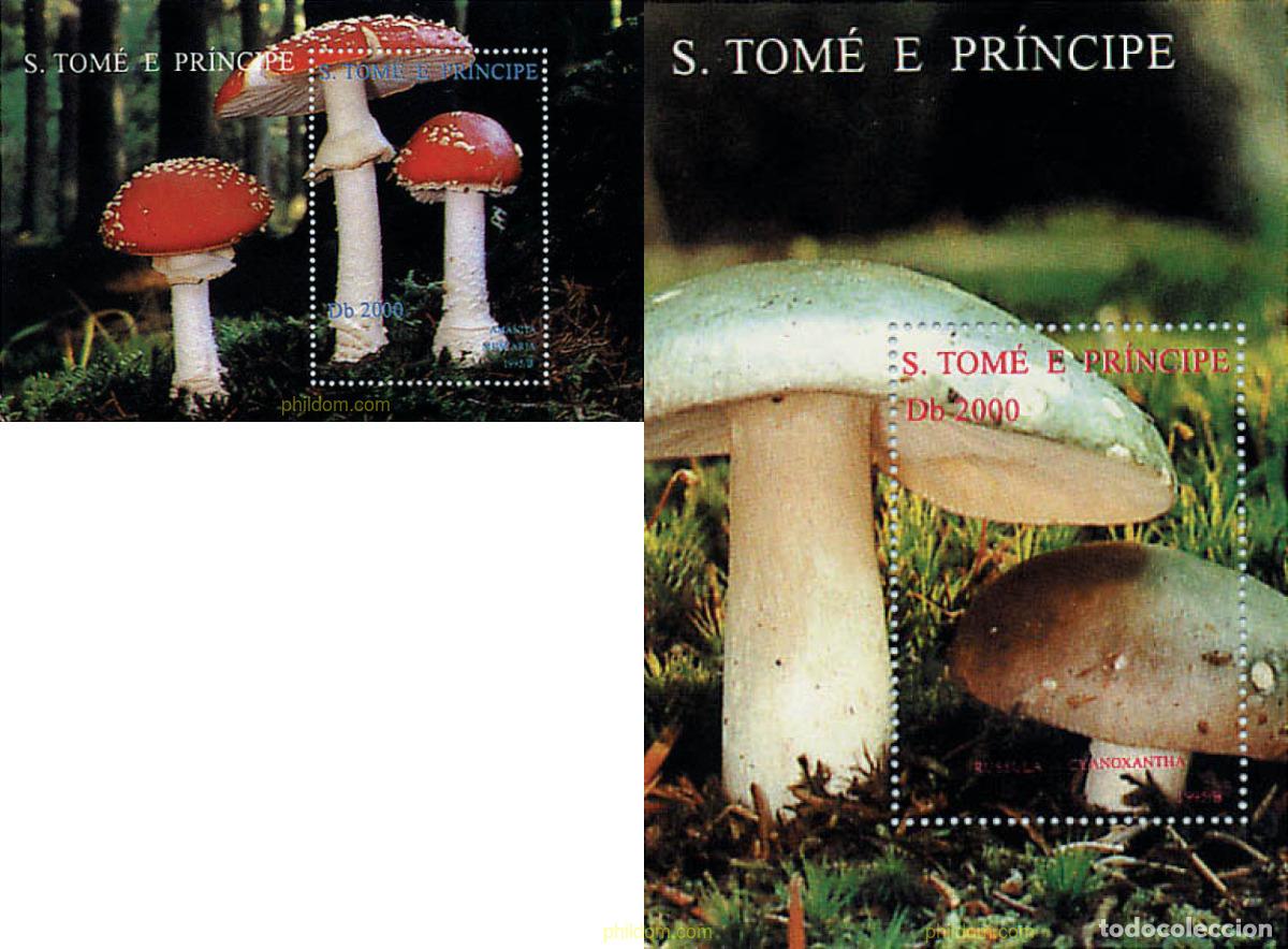 Sellos: 76890 MNH SANTO TOME Y PRINCIPE 1995 SETAS