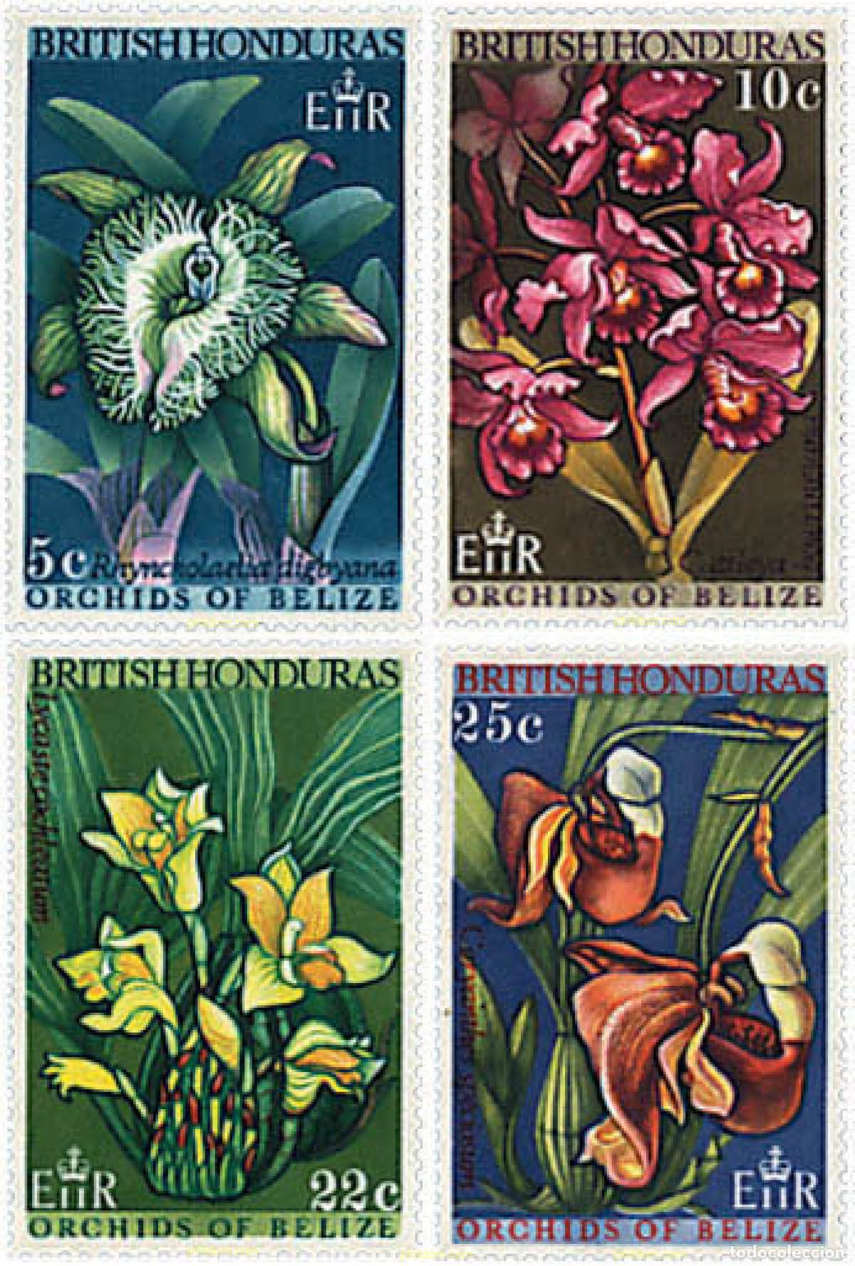 Sellos: 89557 MNH HONDURAS BRITANICA 1969 ORQUIDEAS DE BELIZE