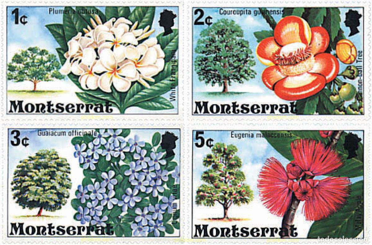 Sellos: 688680 MNH MONTSERRAT 1976 FLORES