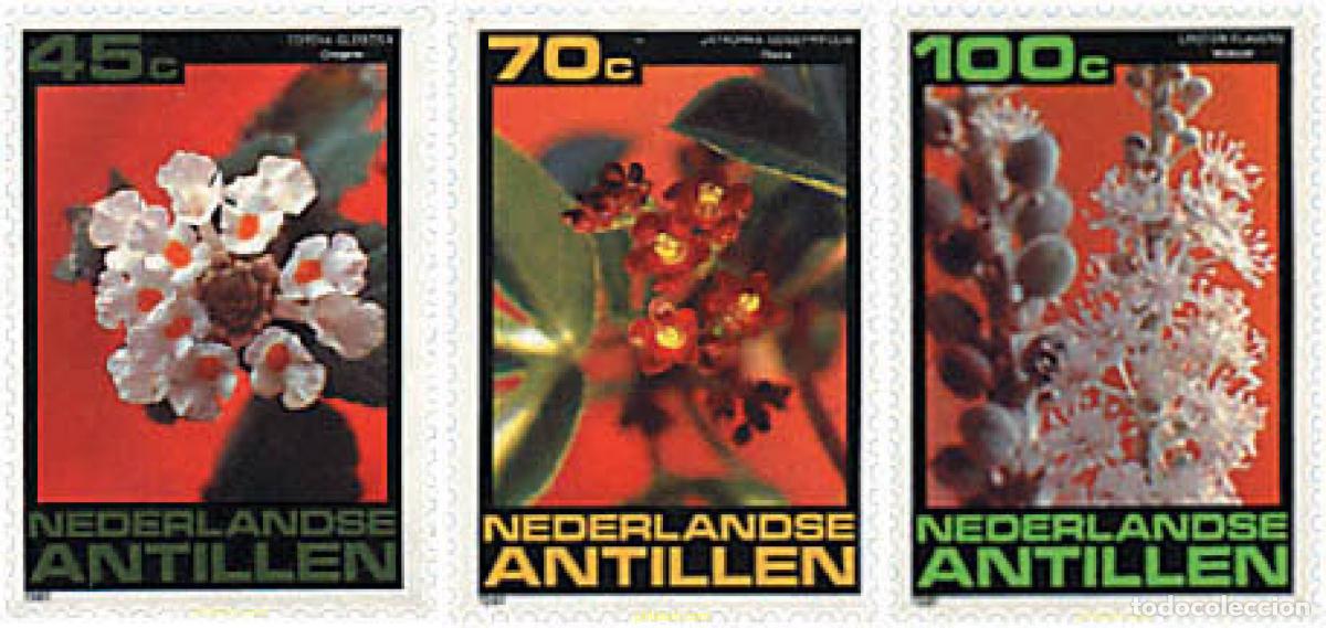 Sellos: 79165 MNH ANTILLAS HOLANDESAS 1981 FLORES DE LAS ANTILLAS