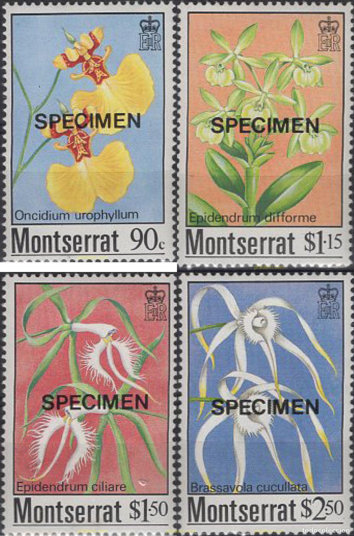 Sellos: 638522 MNH MONTSERRAT 1985 ORQUIDEAS