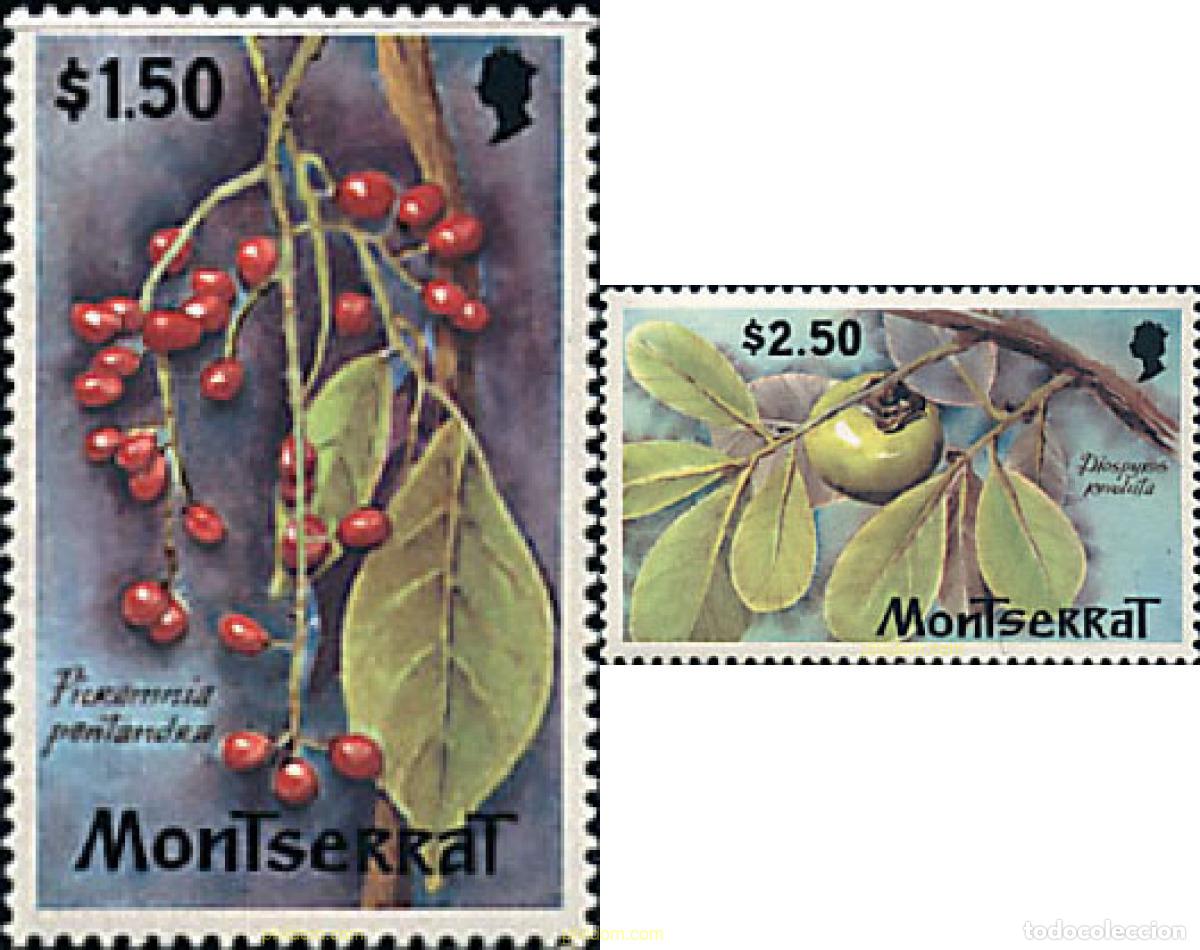 Sellos: 340573 MNH MONTSERRAT 1982 FLORA SILVESTRE