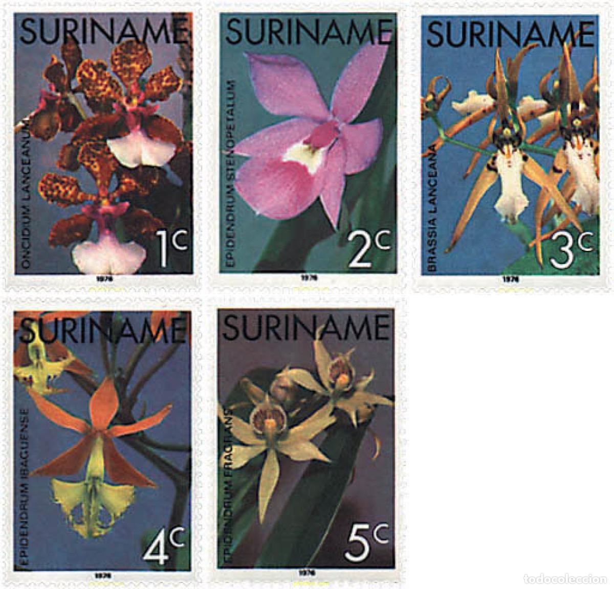 Sellos: 93772 MNH SURINAM 1976 ORQUIDEAS