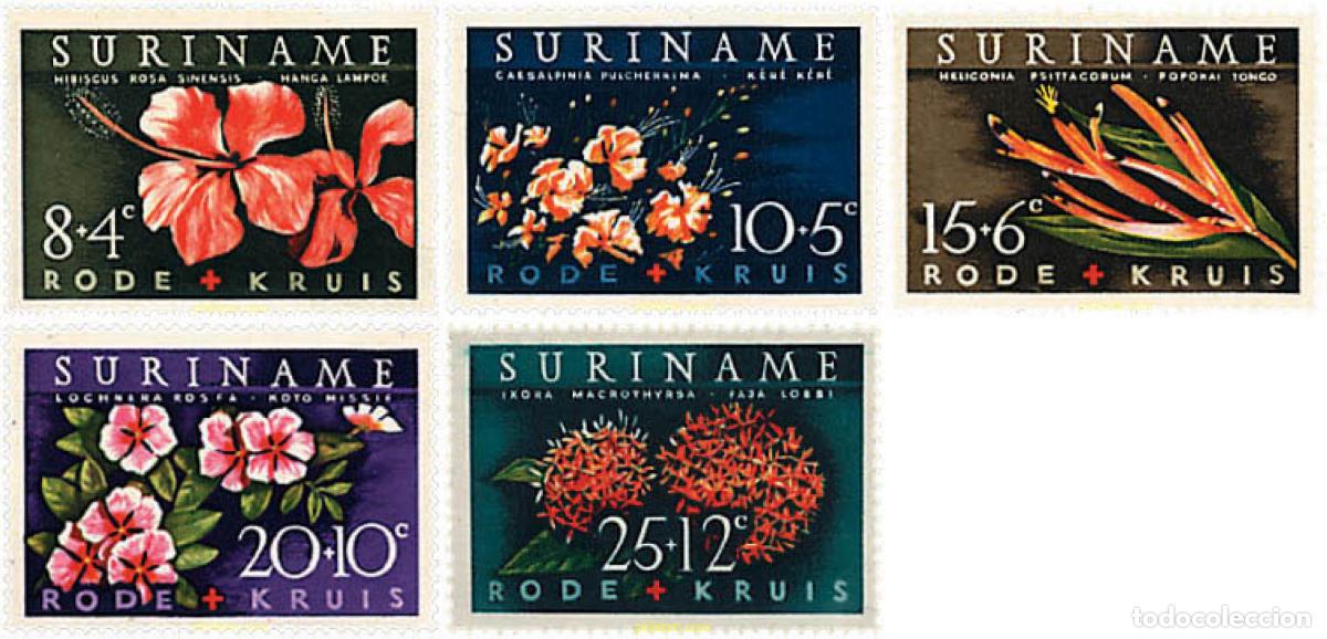 Sellos: 93762 MNH SURINAM 1962 PRO CRUZ ROJA