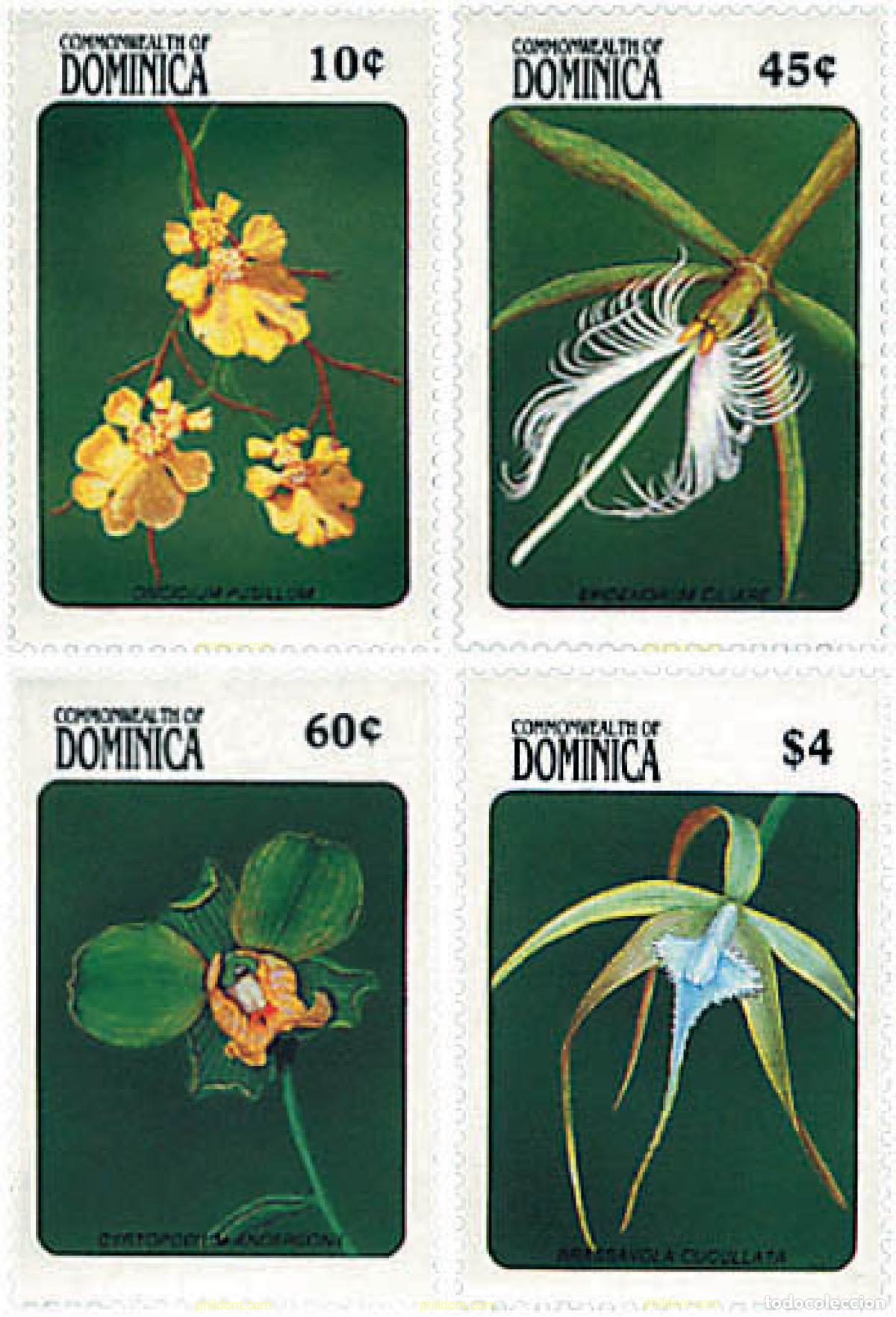 Briefmarken: 306772 MNH DOMINICA 1989 ORQUIDEAS