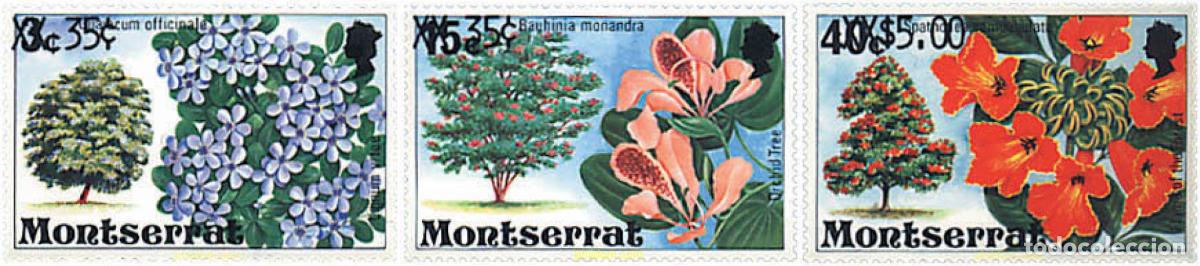 Sellos: 637383 MNH MONTSERRAT 1980 FLORES