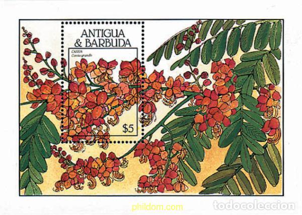 Sellos: 286463 MNH ANTIGUA Y BARBUDA 1988 FLORES