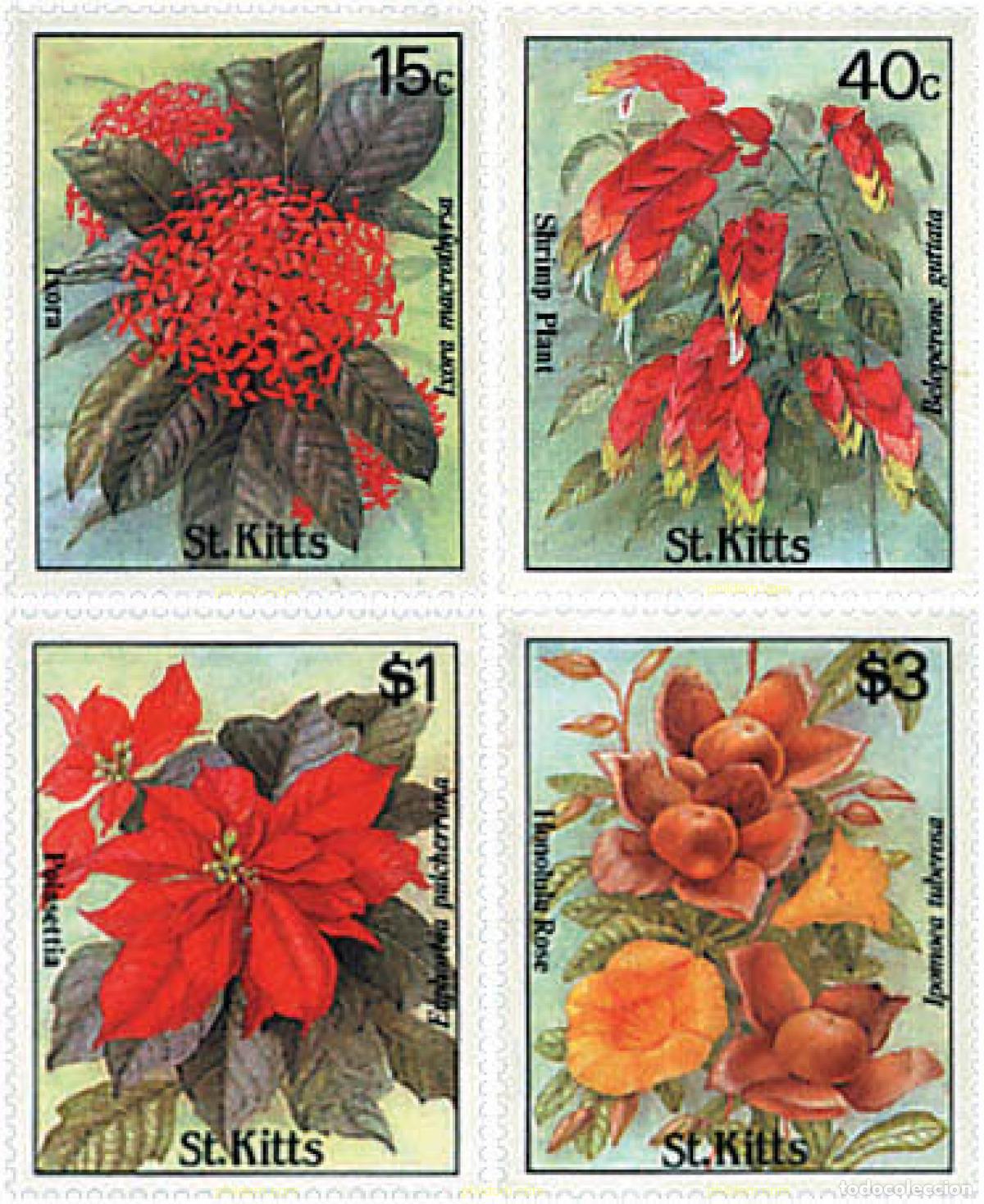 Sellos: 93171 MNH SAN KITTS 1988 FLORES AUTOCTONAS