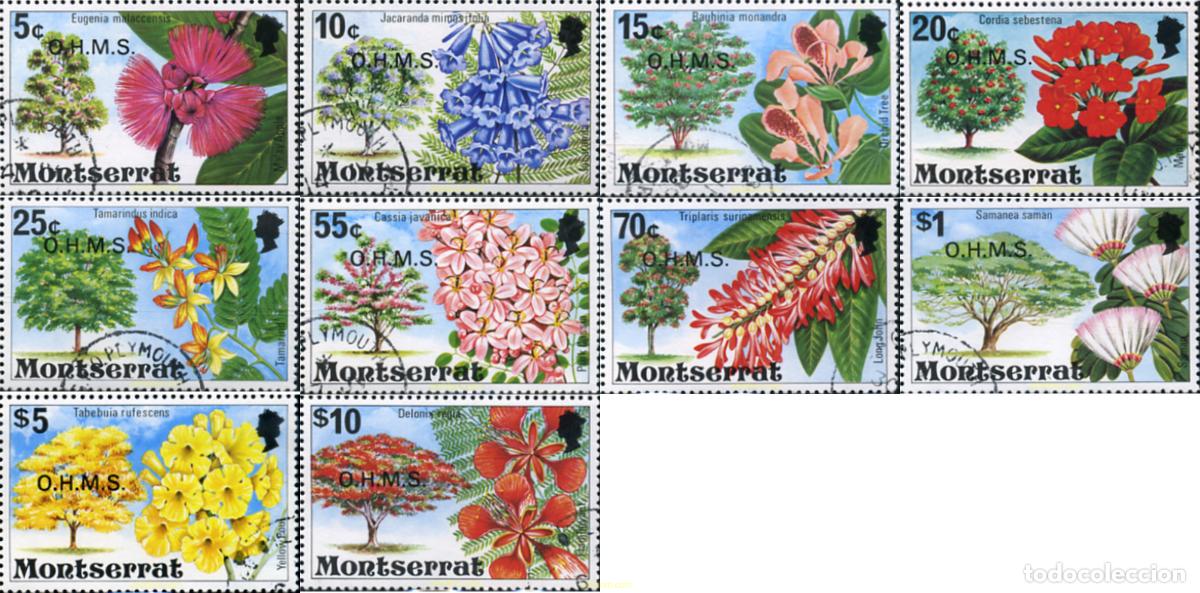 Sellos: 96776 MNH MONTSERRAT 1976 FLORES