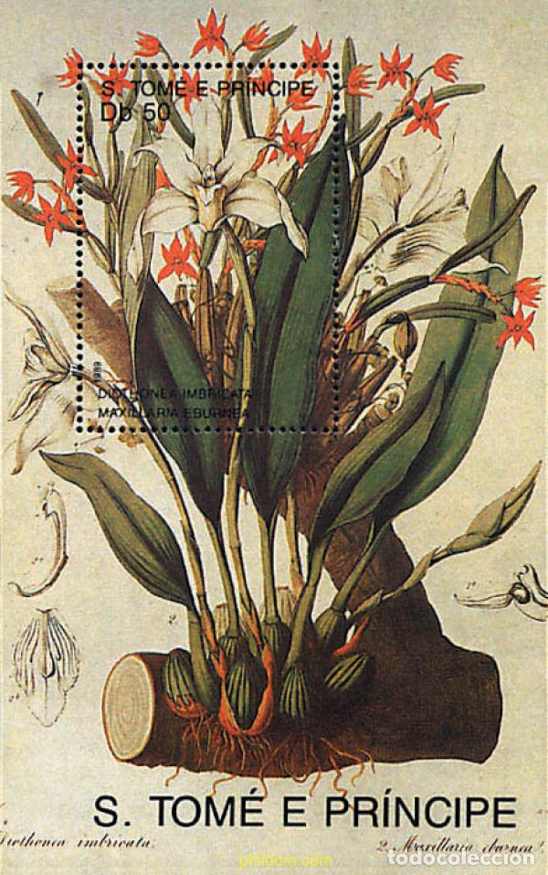 Sellos: 93300 MNH SANTO TOME Y PRINCIPE 1989 ORQUIDEAS