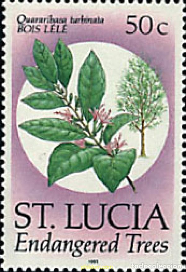 Sellos: 1239 MNH SANTA LUCIA 1990 ESPECIES VEGETALES EN PELIGRO