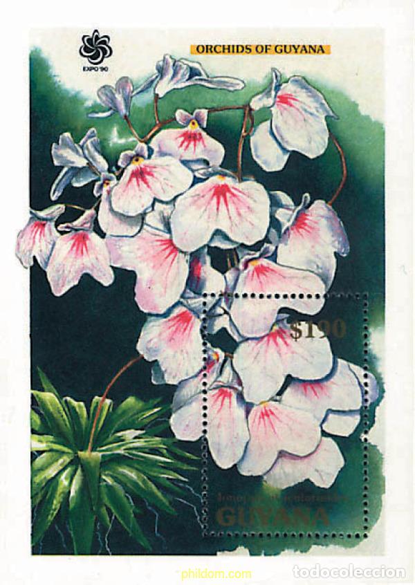 Sellos: 321372 MNH GUYANA 1990 ORQUIDEAS DE GUYANA
