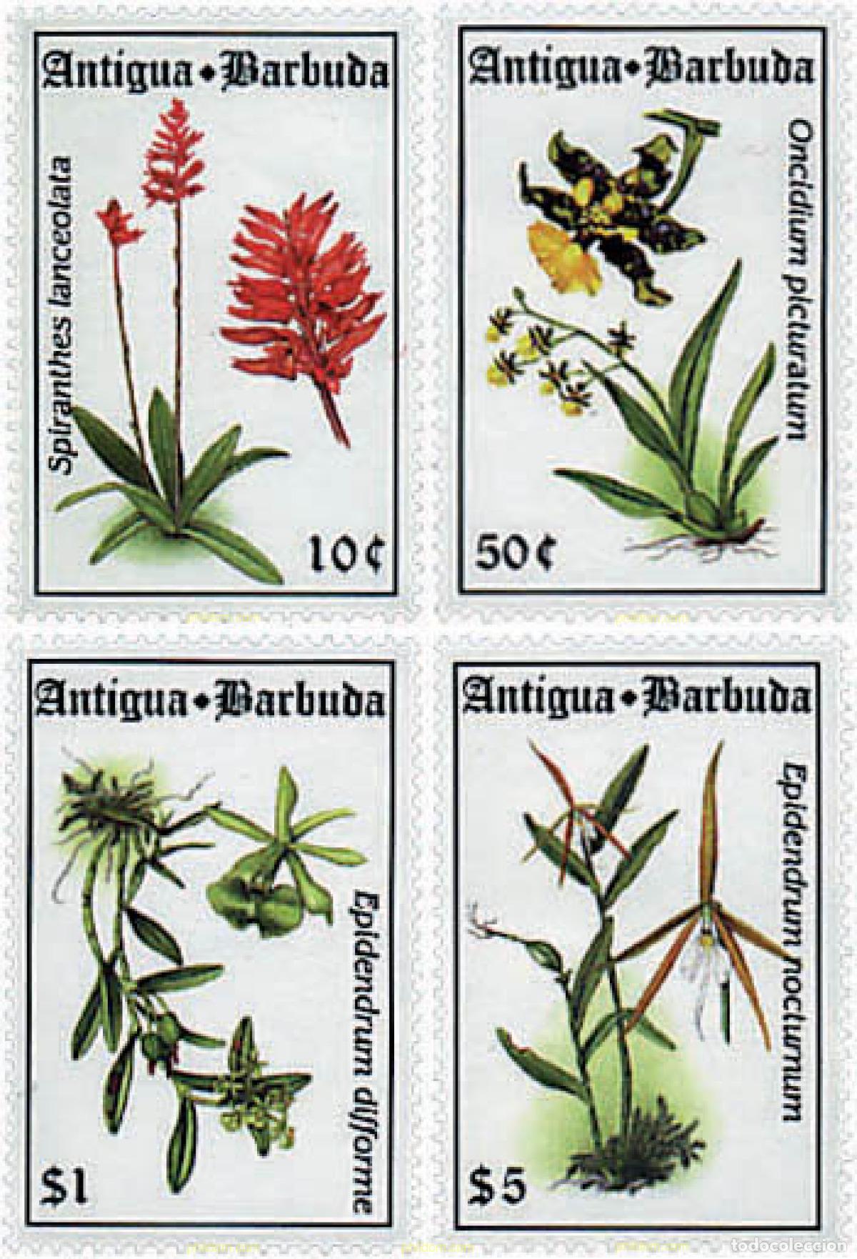 Sellos: 286585 MNH ANTIGUA Y BARBUDA 1994 ORQUIDEAS