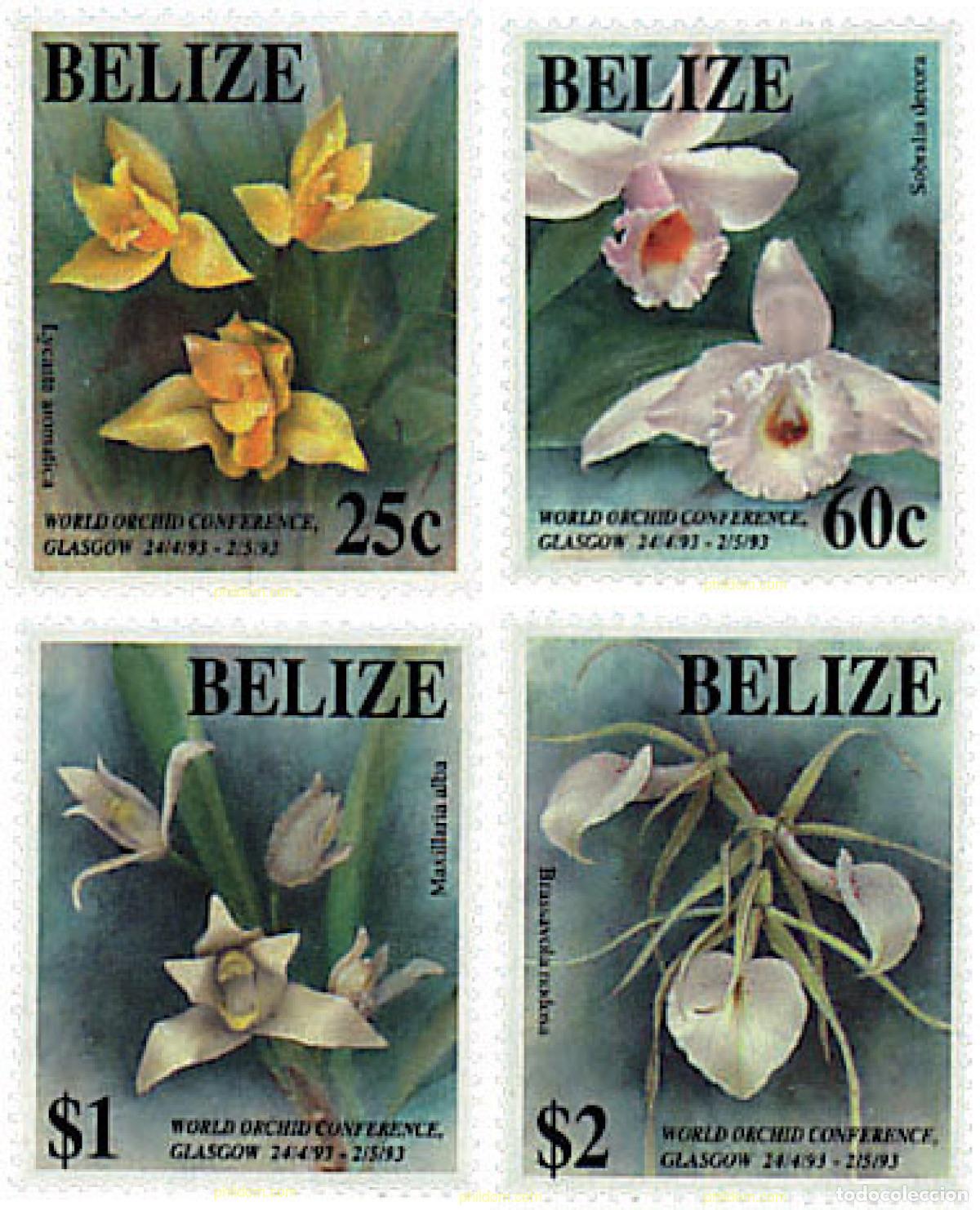 Sellos: 96325 MNH BELIZE 1993 14 CONFERENCIA MUNDIAL SOBRE LAS ORQUIDEAS
