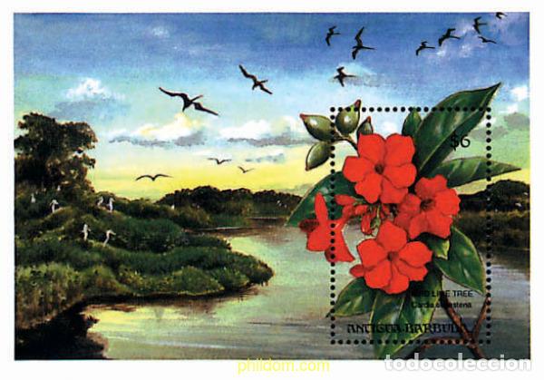 Sellos: 286570 MNH ANTIGUA Y BARBUDA 1993 FLORES DE ARBOLES