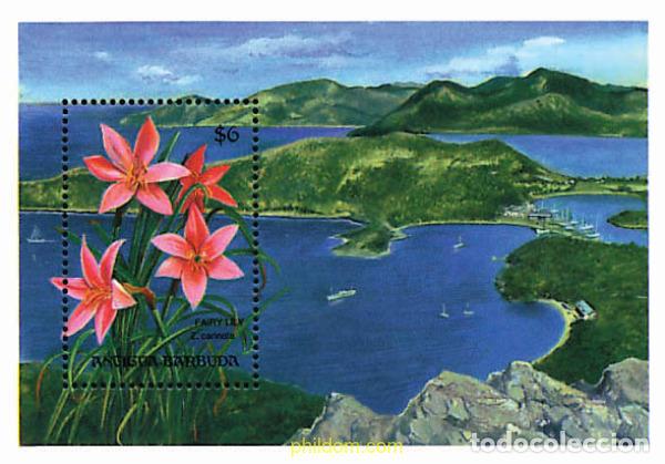Sellos: 286573 MNH ANTIGUA Y BARBUDA 1993 FLORES DE ARBOLES