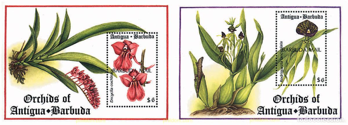 Sellos: 99469 MNH BARBUDA 1994 ORQUIDEAS DE ANTIGUA Y BARBUDA