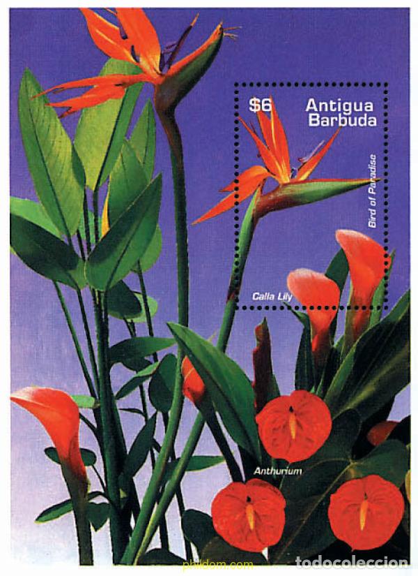 Timbres: 81047 MNH ANTIGUA Y BARBUDA 1995 FLORES