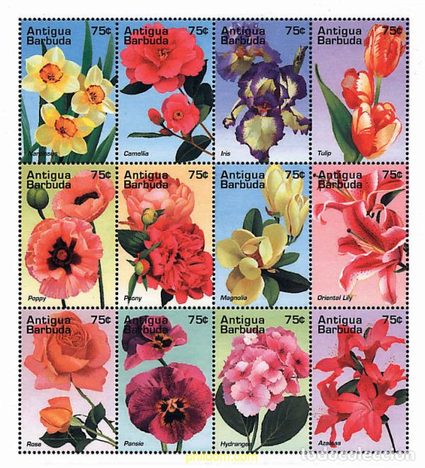 Sellos: 281918 MNH ANTIGUA Y BARBUDA 1995 FLORES